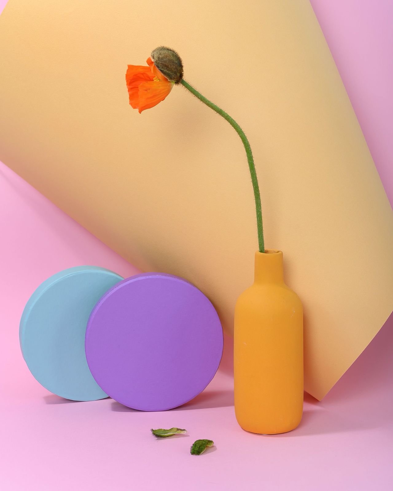 Nature morte graphique avec vase orange, formes colorées et fleur